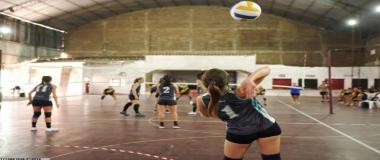 明星资源对接服务